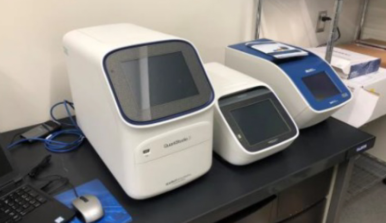 QuantStudio3 Real Time PCR systems Thermal cycler