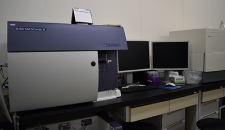 BD FACSCantⅡ