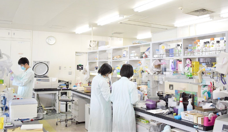 自然免疫システム研究チームの実験室風景